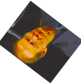 Thumbnail for version as of 23:47, 13 January 2026