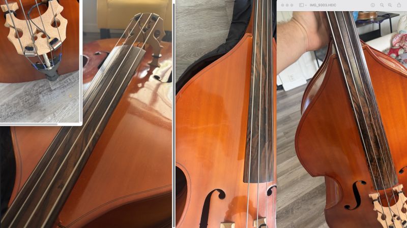 File:Cryptograss' new bass.jpg